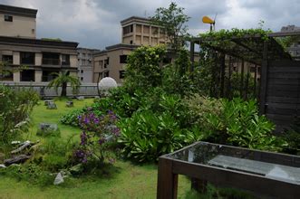 屋頂種樹|種對植物 享受屋頂花園與快樂農園